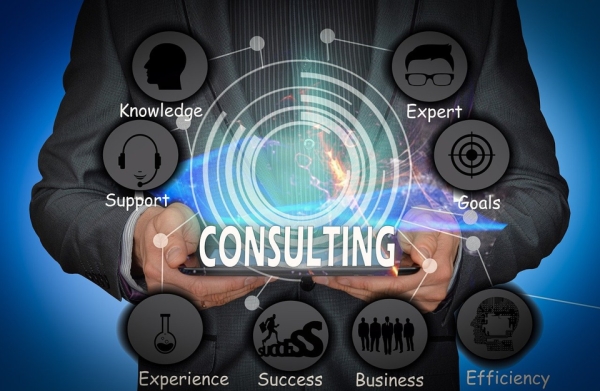 CONSULTANTS AND STARTUPS